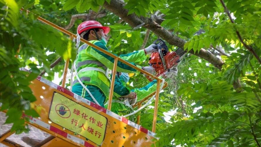 别墅后园林景观设计