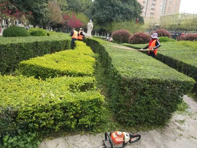 东丽城市绿化养护技术规范及等级标准