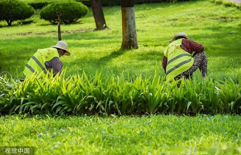 15平方高层入户花园林景观设计